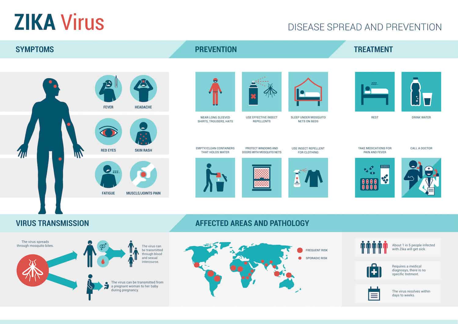 zika virus infographic